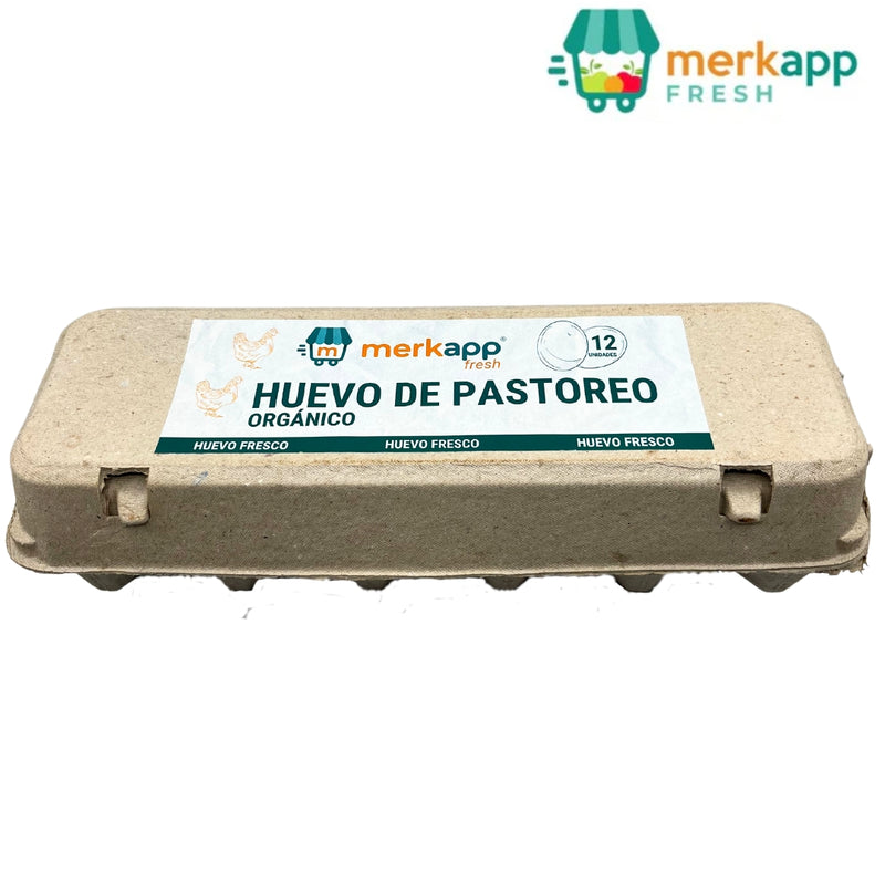 HUEVOS DE PASTOREO MERKAPP FRESH 12 UND