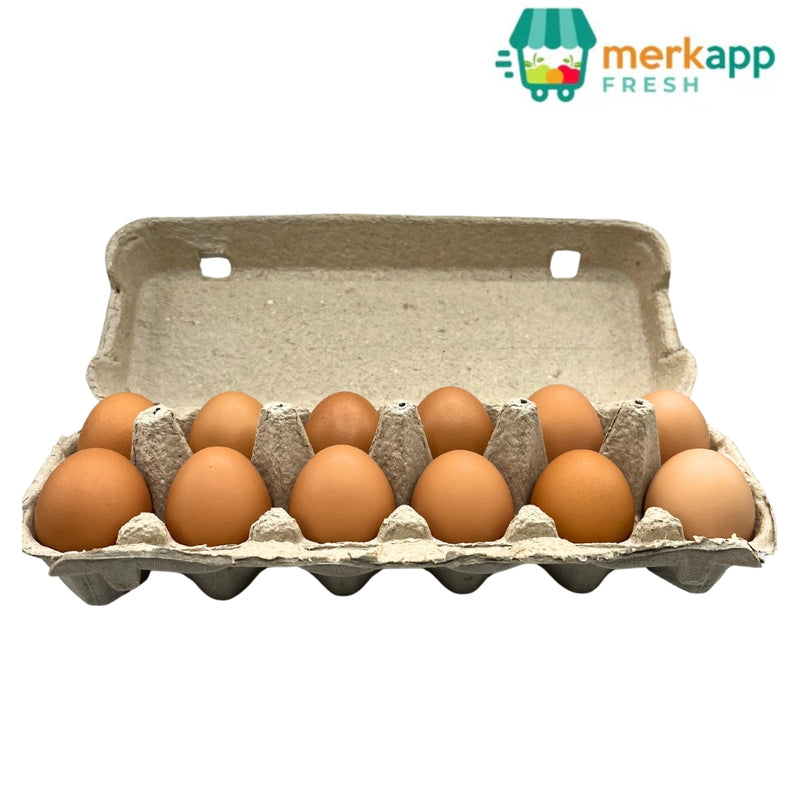 HUEVOS DE PASTOREO MERKAPP FRESH 12 UND