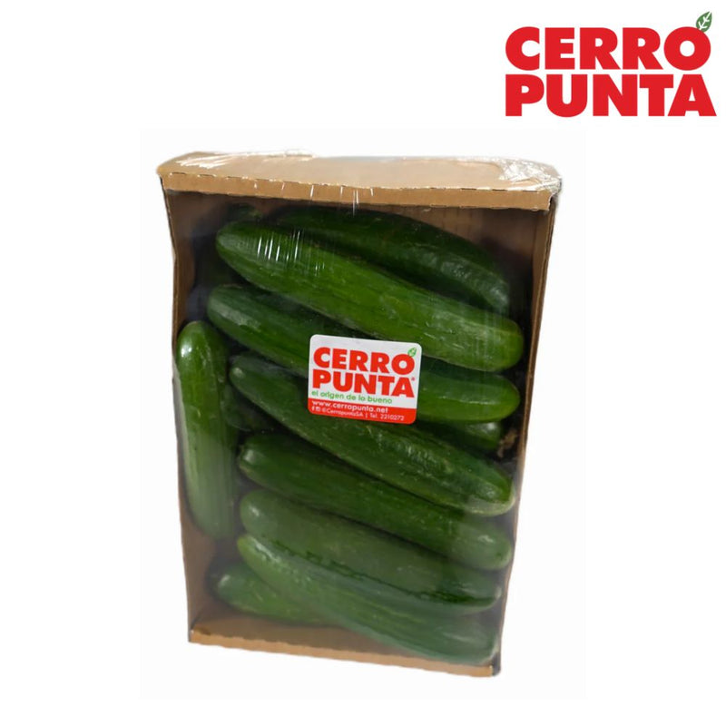 BANDEJA DE PEPINO SIN SEMILLA HIDROPONICO CERRO PUNTA 625 GR