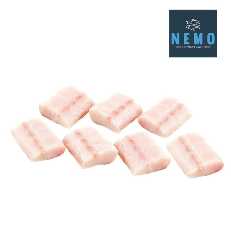 CORVINA PACK NEMO PREMIUM CATCH 7 A 9 PORCIONES 2 LBS