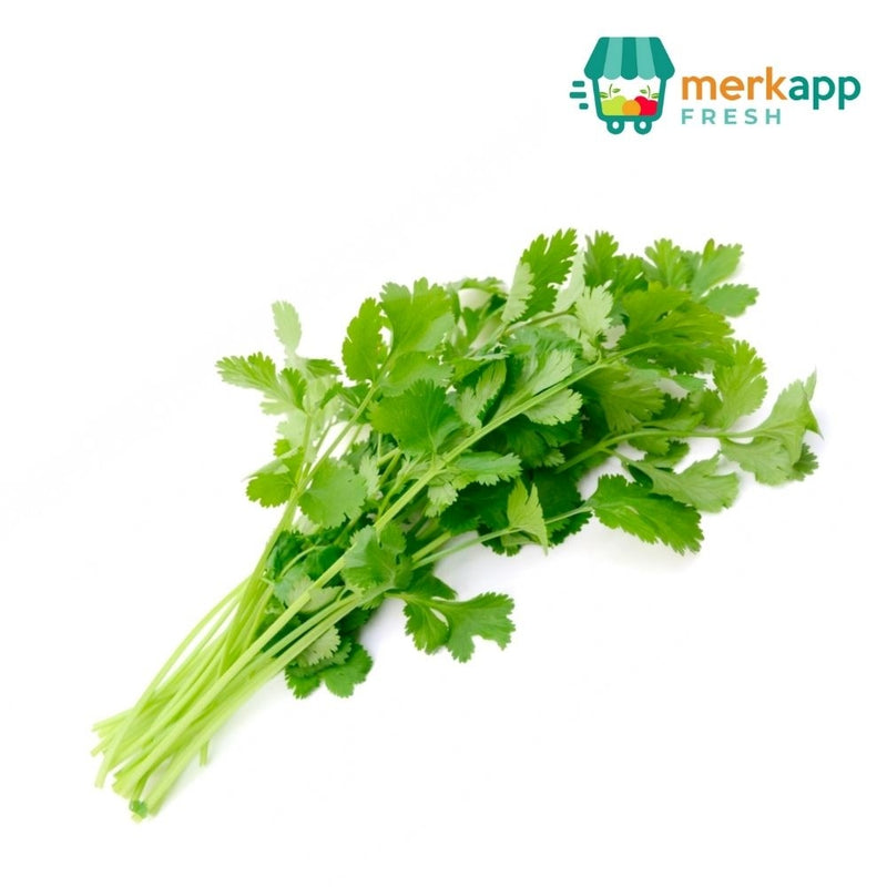 CILANTRO 100 GR