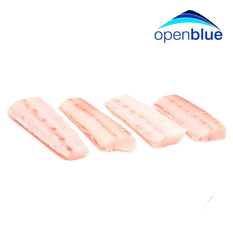 COBIA FAMILY PACK OPEN BLUE 4 OZ