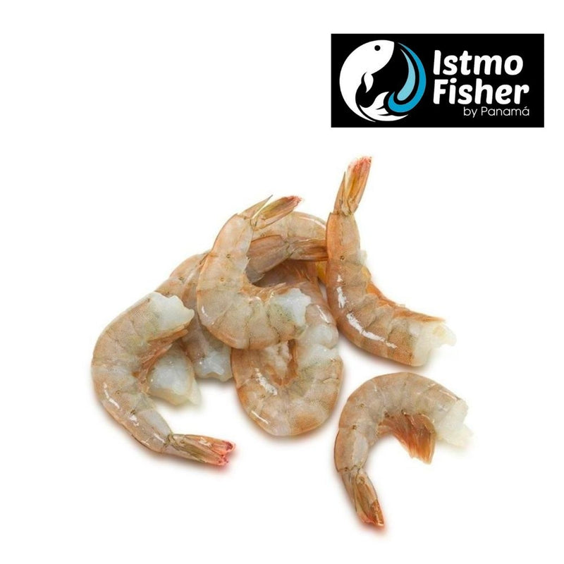 COLA LANGOSTINO GRANDE ISTMO FISHER 1 LBS