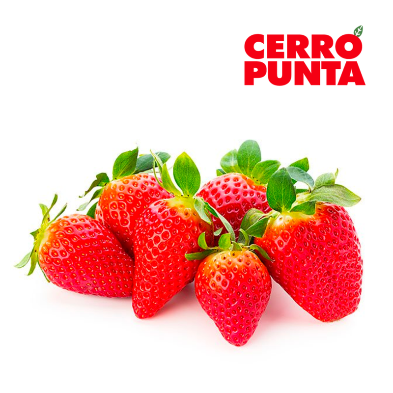 CANASTA DE FRESAS JUMBO CERRO PUNTA 450 GRAMOS