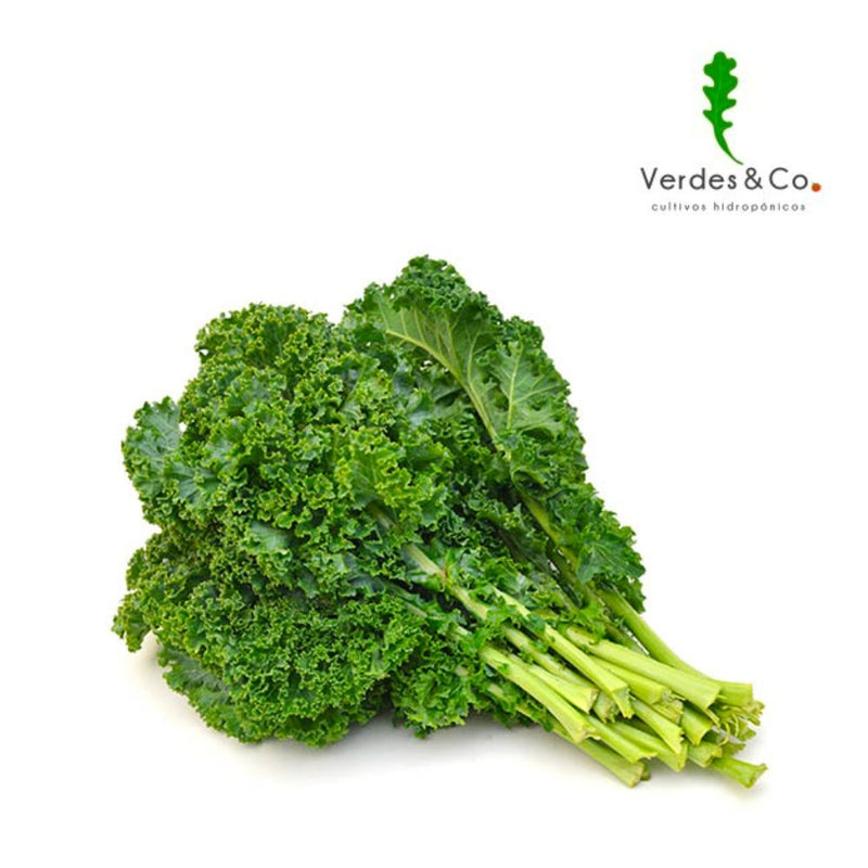 KALE HIDROPONICO 250 GR