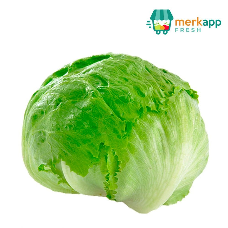 LECHUGA AMERICANA 1 LB