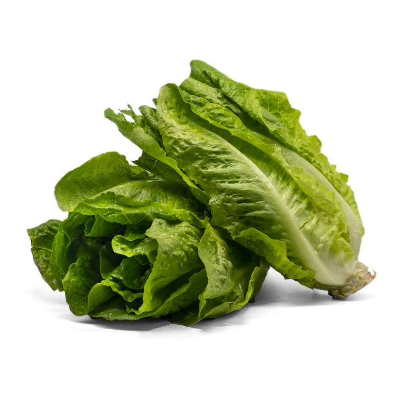 LECHUGA ROMANA NACIONAL 1 LB