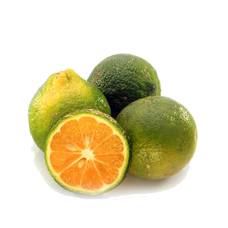 MALLA DE LIMON MANDARINA 5 UNIDADES