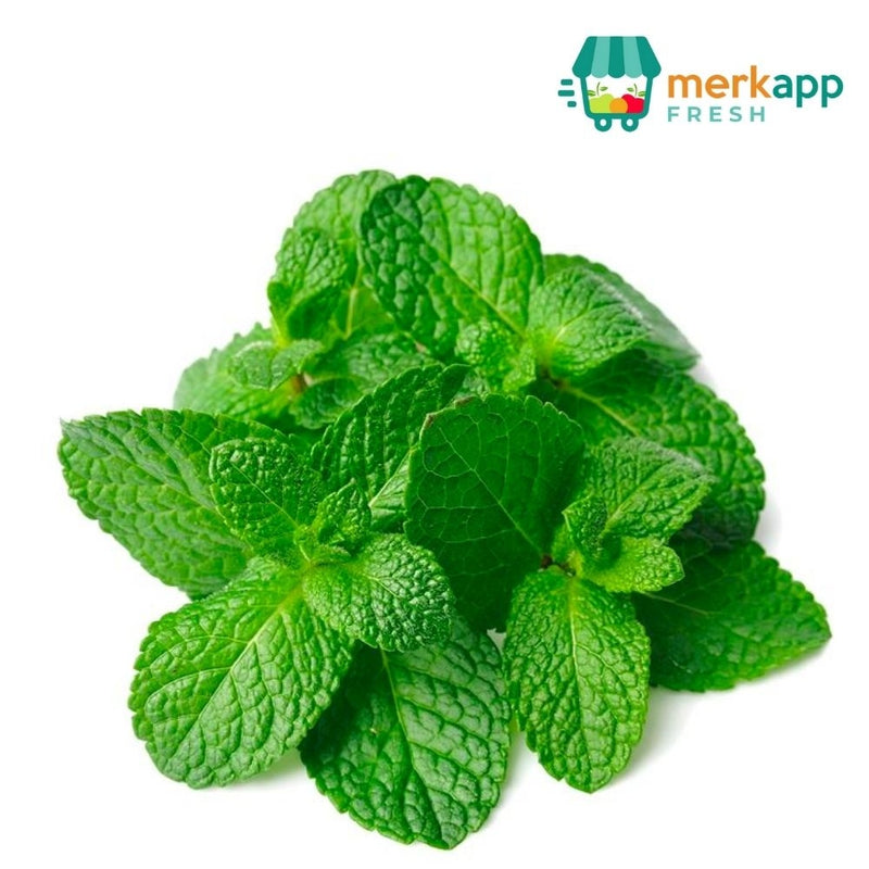 MENTA 100 GR