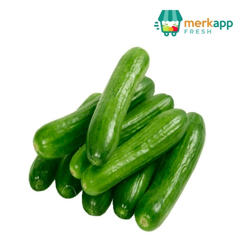 MINI PEPINO SIN SEMILLA 1 LB (3-4 UND APROX)