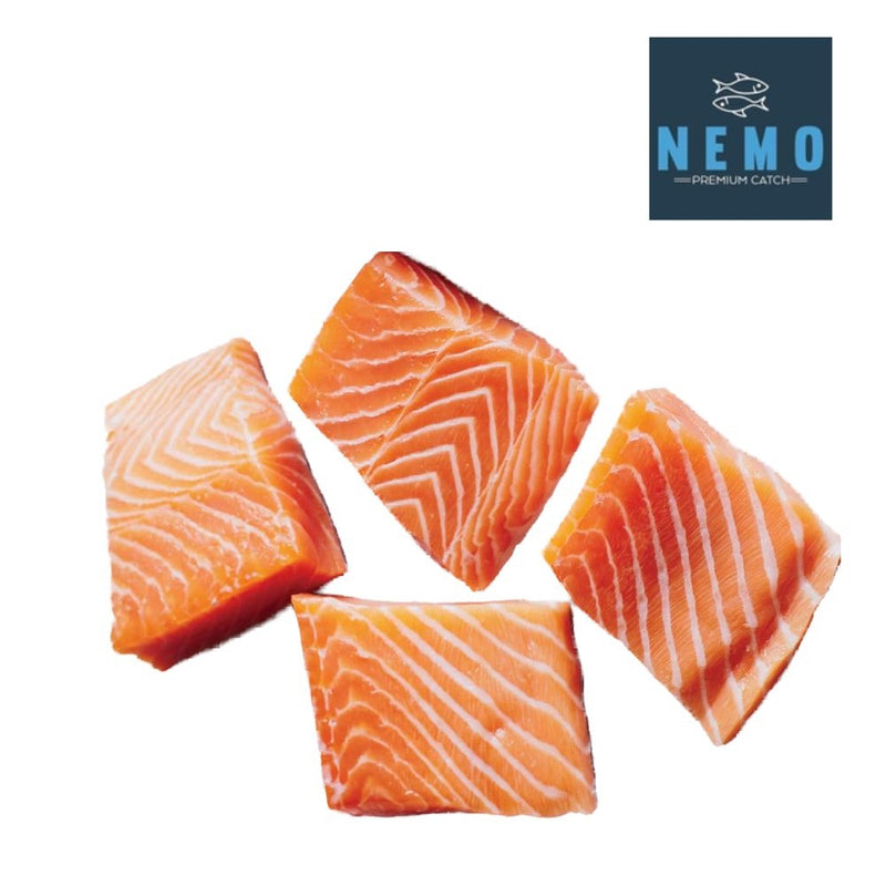 SALMON FAMILY PACK NEMO PREMIUM CATCH 4 PORCIONES 6 OZ