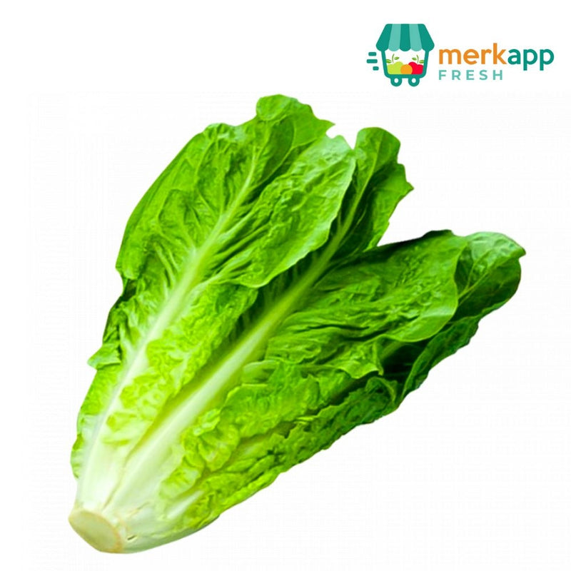 LECHUGA ROMANA NACIONAL 1 LB