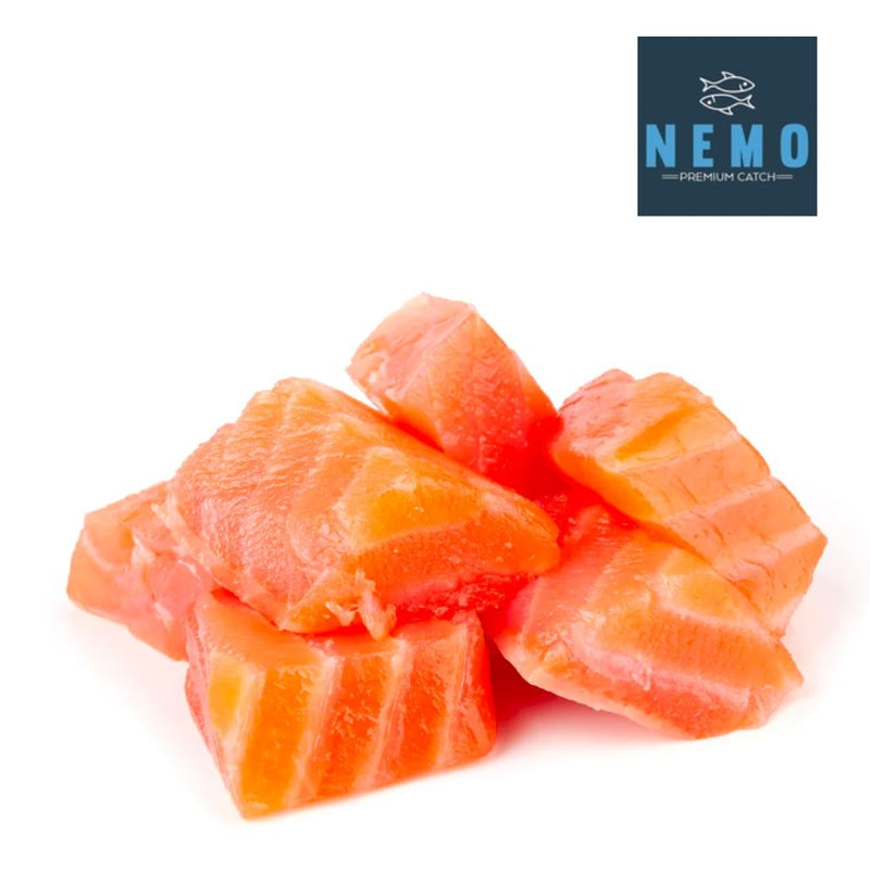 SALMON BITES PACK NEMO PREMIUM CATCH 1 LB