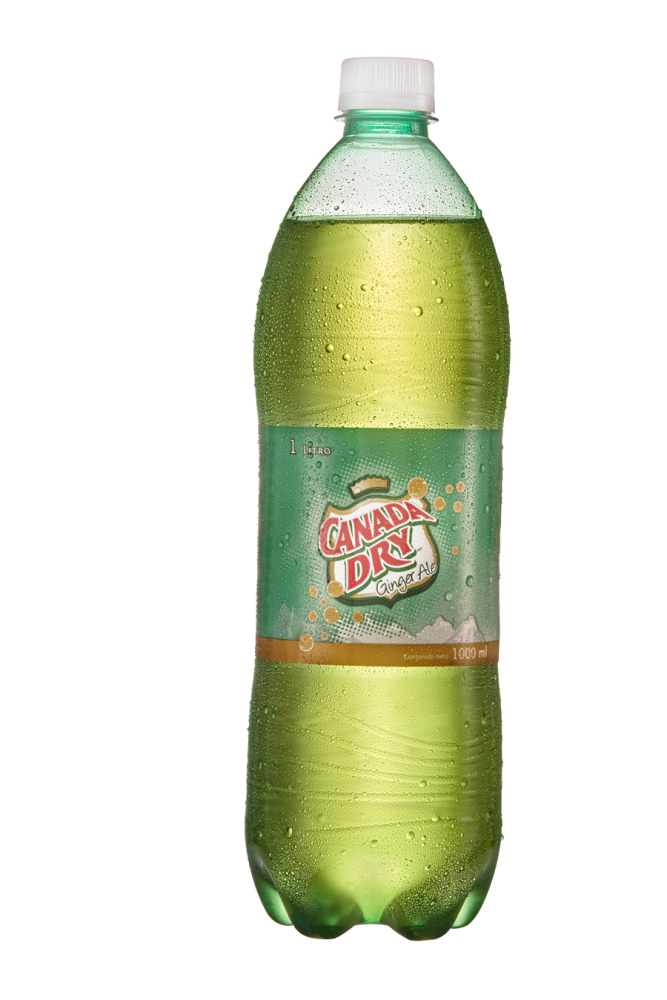 SODA GINGER ALE 1 LITRO