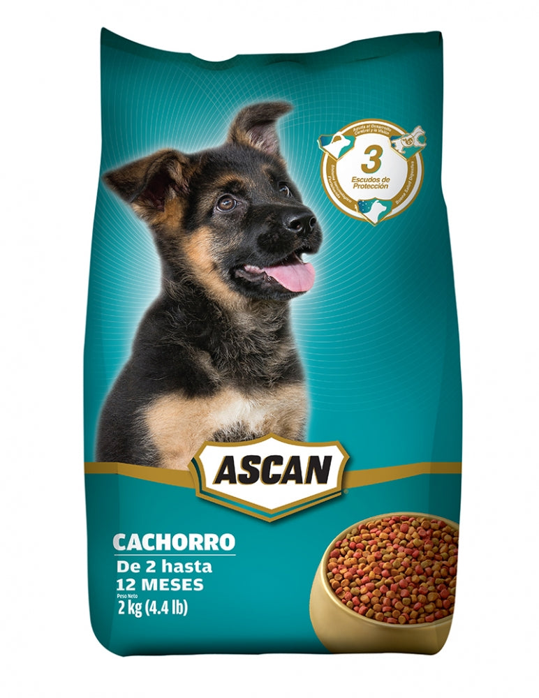 COMIDA DE PERRO ASCAN ADULTO 2 KG