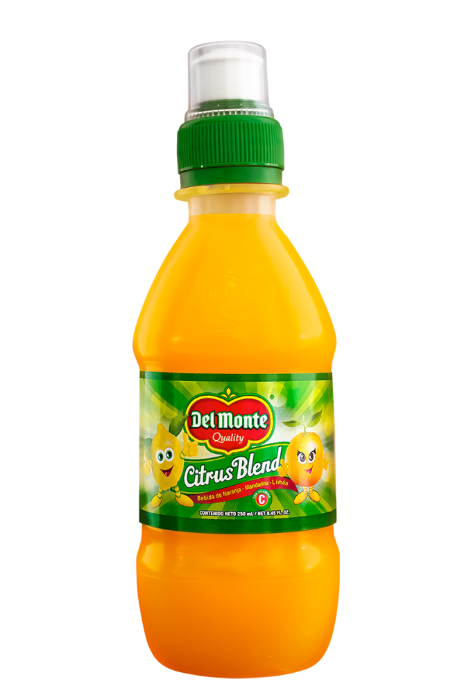 BEBIDA DEL MONTE CITRUS BLEND 250 ML